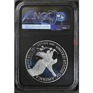 2021 S Eagle Landing T-2 ULTRA CAMEO (2)