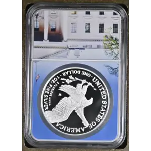2022 W Early Releases ULTRA CAMEO (2)