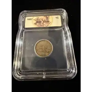 Small Cents---Flying Eagle 1856-1858 -Copper- 1 Cent (2)