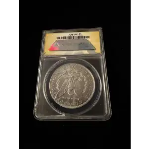Modern Morgan Dollar